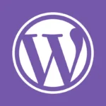 WordPress-certified best digital marketing expert in bangalore